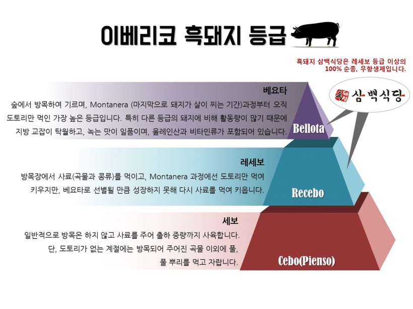 f0ea50604a04d3cf99f7d3309f6a4684_1455588